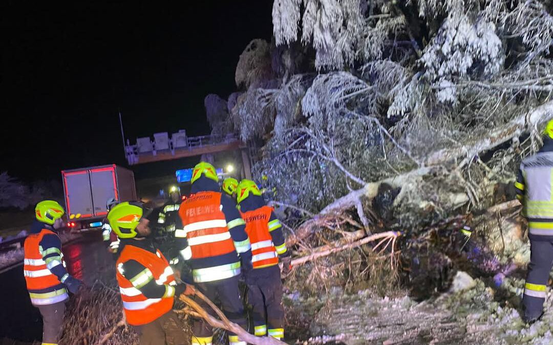 Einsatzserie aufgrund von starken Schneefall